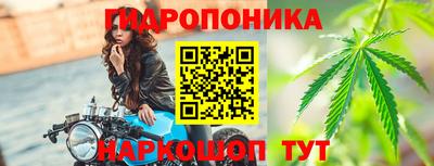 ГАЛЛЮЦИНОГЕННЫЕ ГРИБЫ Кингисепп